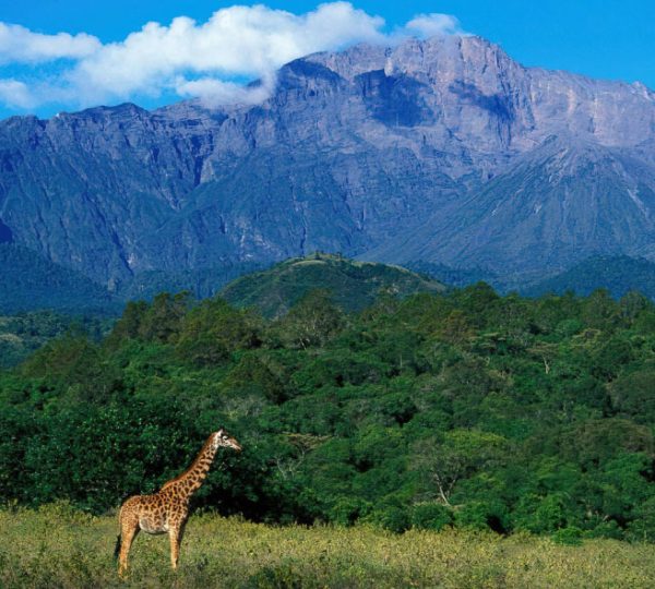 Mount Meru Trekking