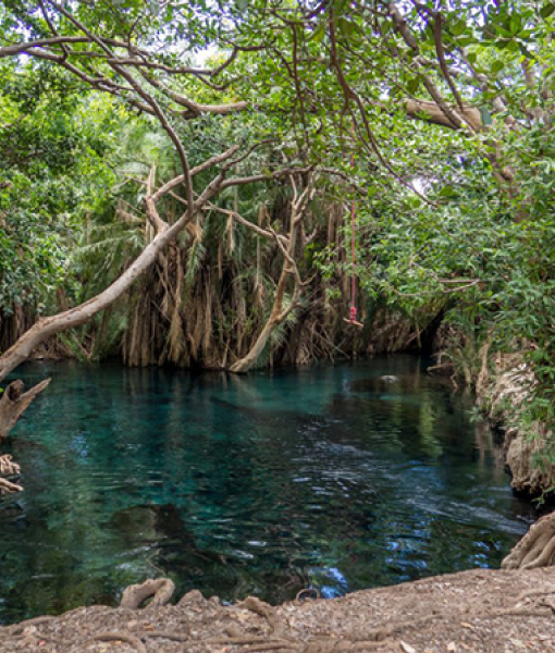 Moshi day trips Tanzania